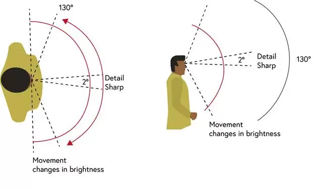 2 phút cùng Bác sĩ #81 – Đo thị trường mắt