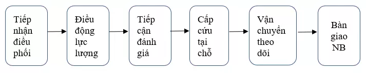 ĐƠN VỊ CẤP CỨU 115